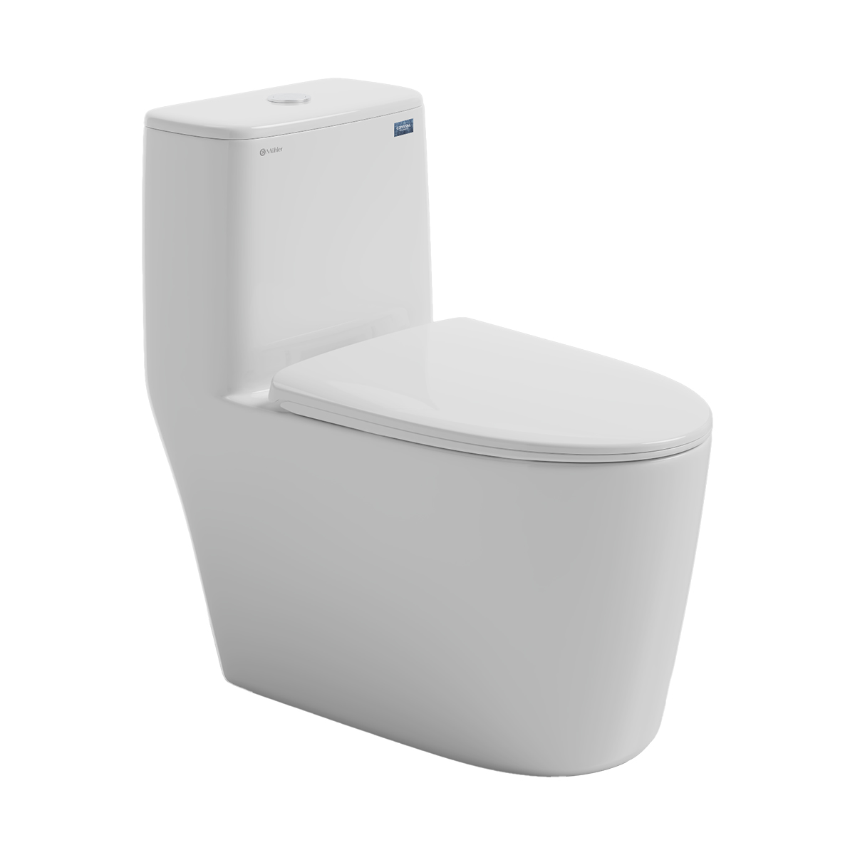 Bồn cầu thường đặt sàn DeMuhler ML366313
