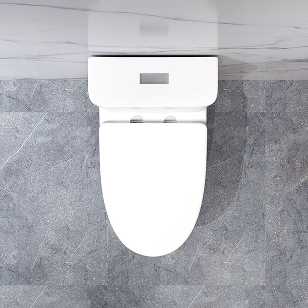 Bồn cầu một khối DeMuhler ML366310 hiện đại