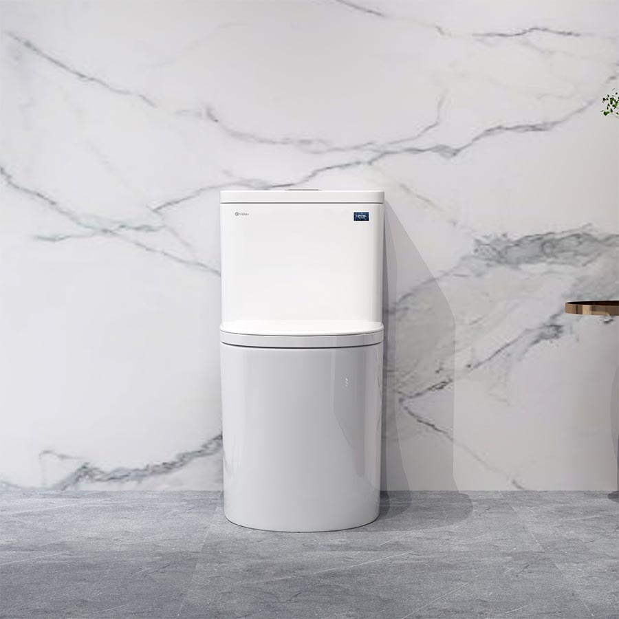 Bồn cầu một khối DeMuhler ML366310 cao cấp