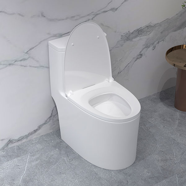 Bồn cầu một khối DeMuhler ML366310 bền đẹp
