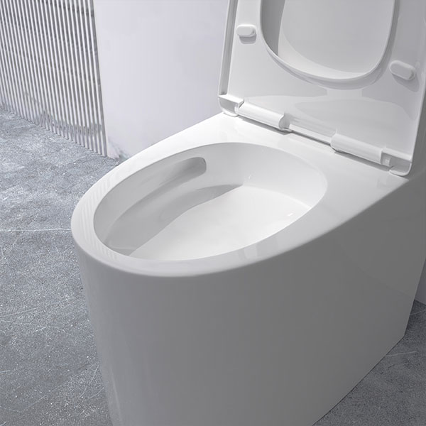 Bồn cầu một khối DeMuhler ML366310 chính hãng