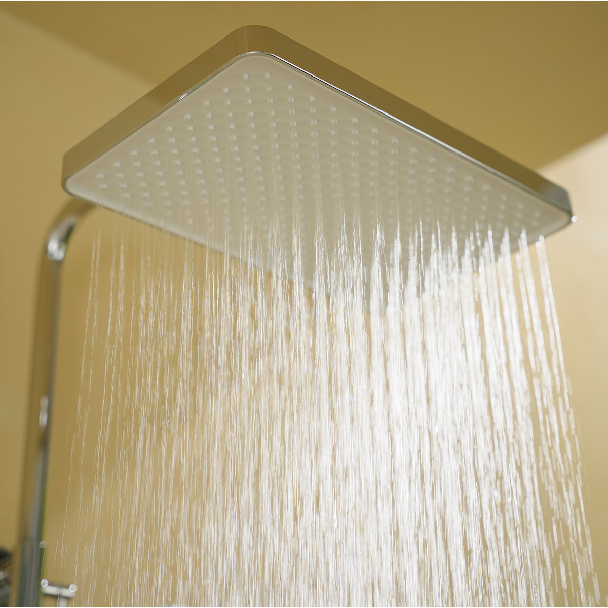 Sen cây DEMUHLER ML513105C chính hãng