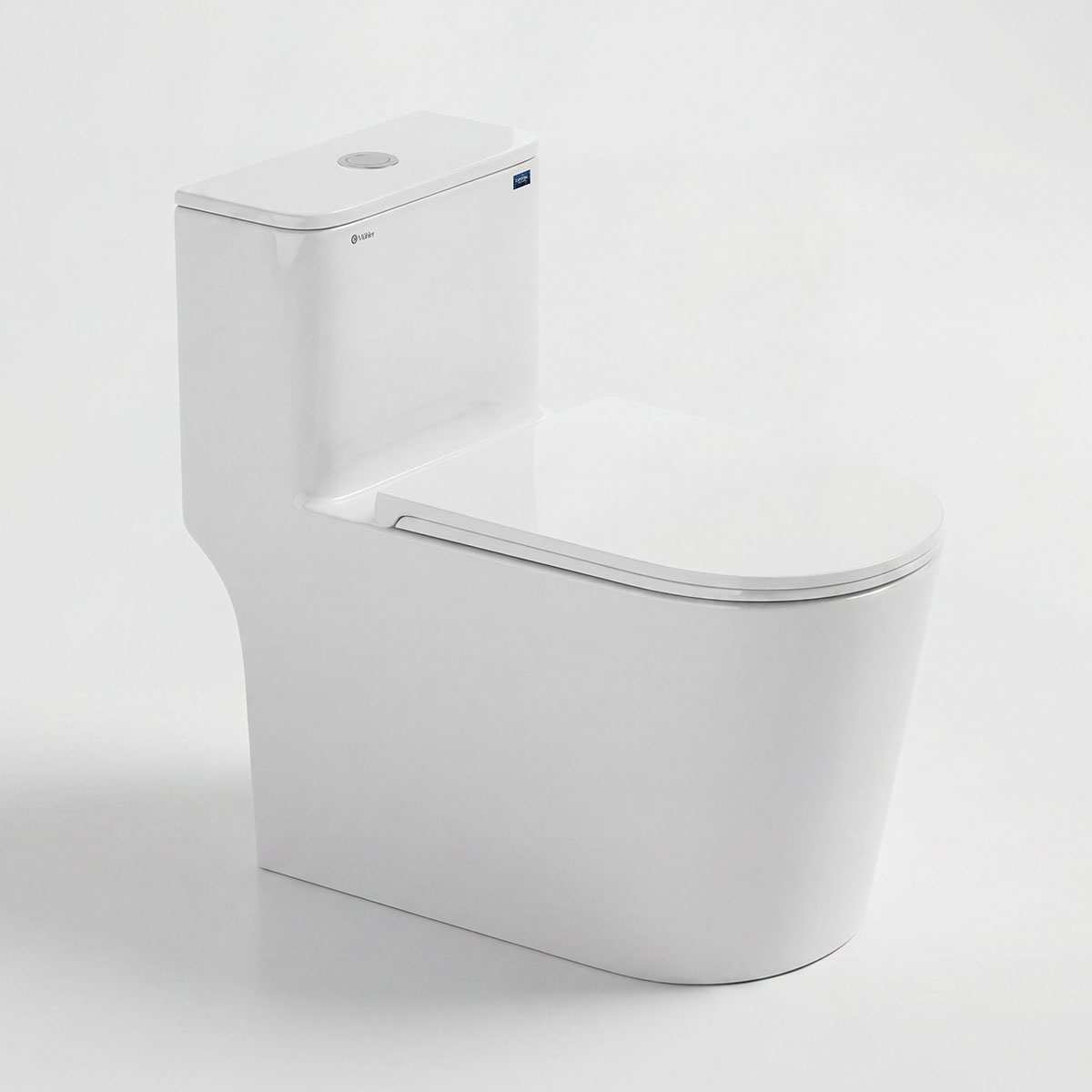 Bồn cầu đặt sàn DeMuhler ML366305 sang trọng