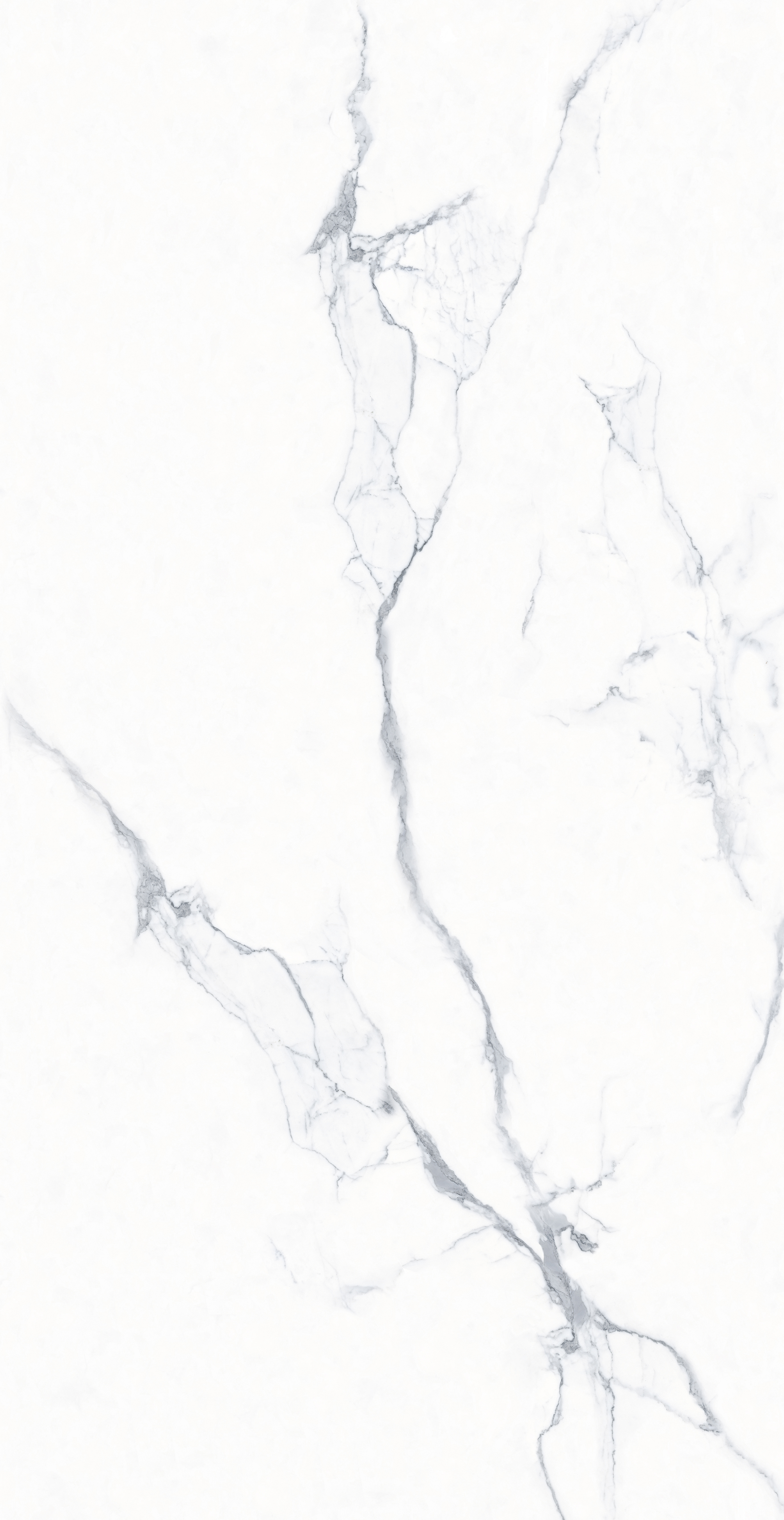 Gạch ốp lát Palermo Y12661, Soft Matt , 60x120