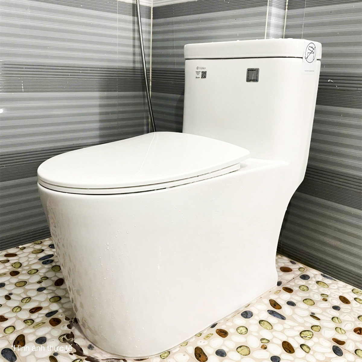 Bồn cầu một khối DeMuhler ML-366154 chất lượng