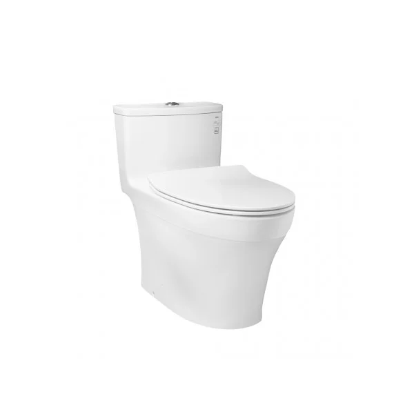 COMBO BỒN CẦU TOTO MS885DT8 cao cấp