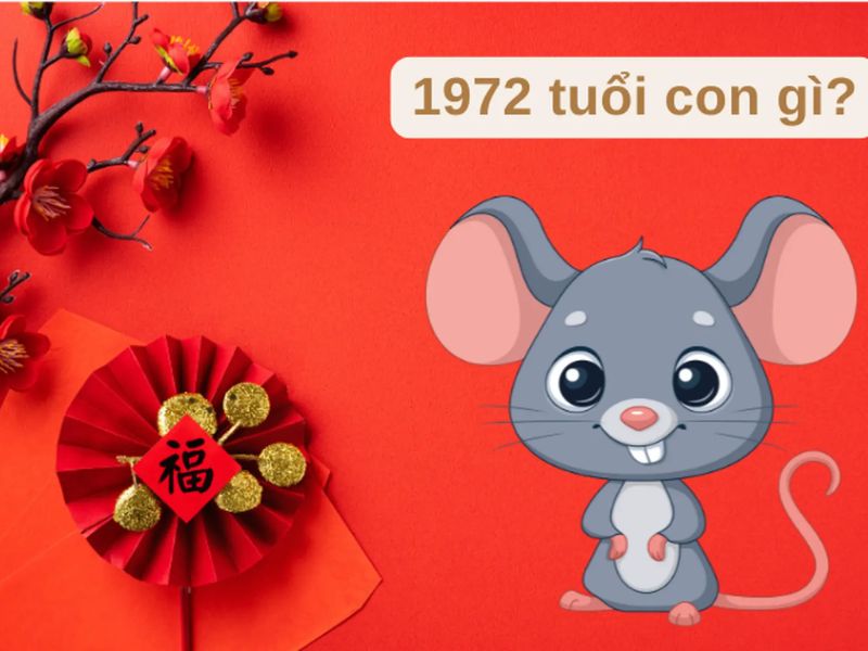 Người 1972 hợp hướng nhà nào?