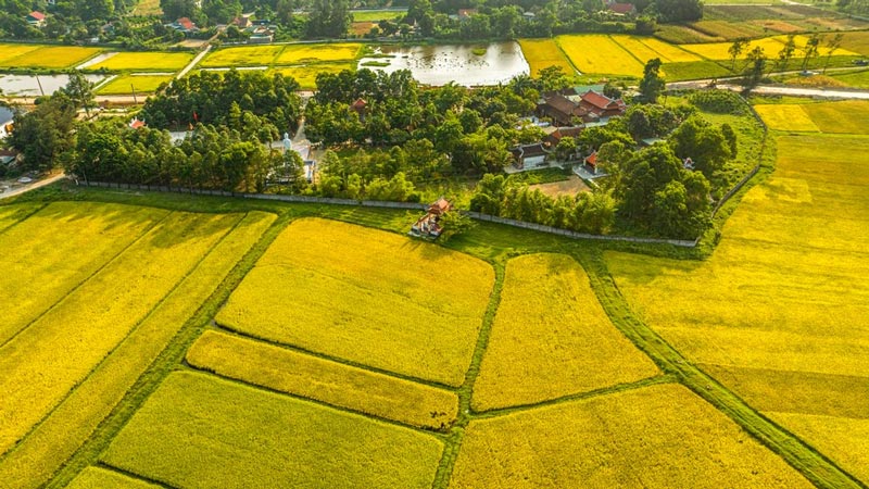 1 sào bằng bao nhiêu héc ta?