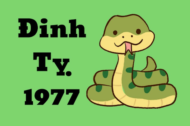 Người sinh năm 1977 mệnh gì? Tuổi gì?