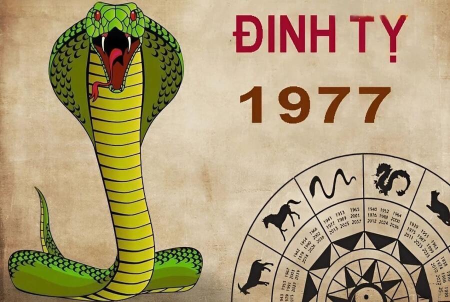 1977 mệnh gì? Giải mã tuổi Đinh Tỵ hợp màu, hướng, tuổi nào