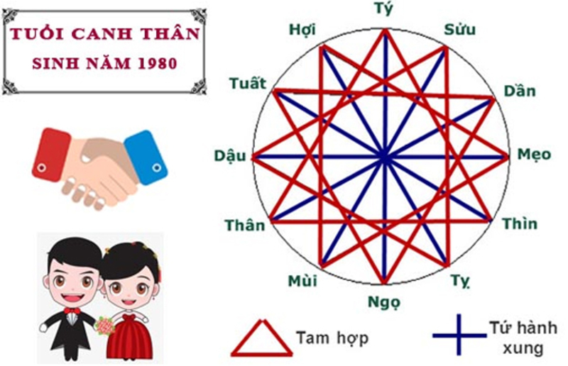 Người sinh năm 1980 hợp với tuổi nào