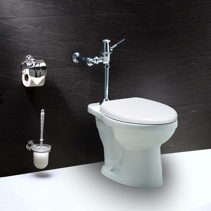 Một số lưu ý khi chọn mua bồn cầu